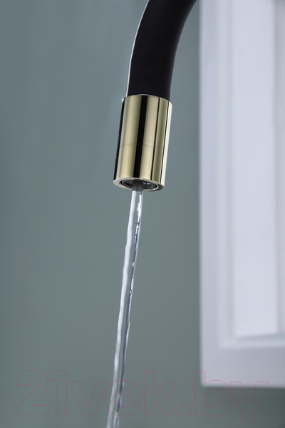 Изображение товара Смеситель Paulmark Salix Sa213419-G (золото)