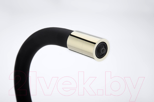 Изображение товара Смеситель Paulmark Salix Sa213419-G (золото)