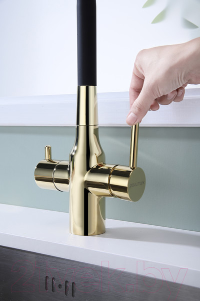 Изображение товара Смеситель Paulmark Salix Sa213419-G (золото)