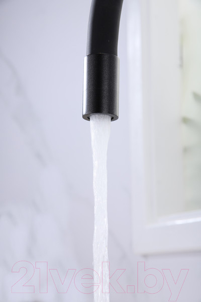 Изображение товара Смеситель Paulmark Salix Sa213419-418 (черный металлик)