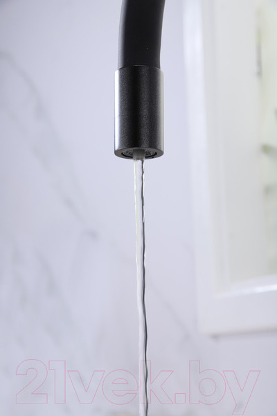 Изображение товара Смеситель Paulmark Salix Sa213419-418 (черный металлик)