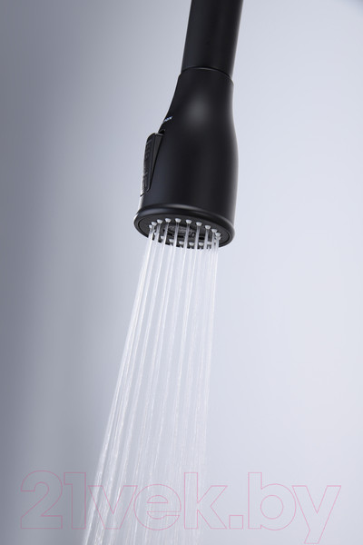 Изображение товара Смеситель Paulmark Lange La214212-401 (антрацит)