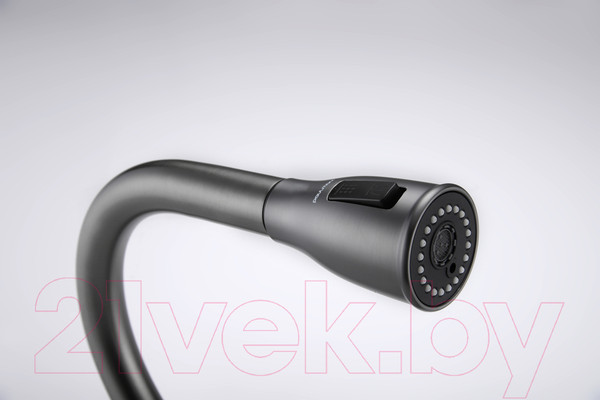 Изображение товара Смеситель Paulmark Lange La214212-GM (вороненая сталь)