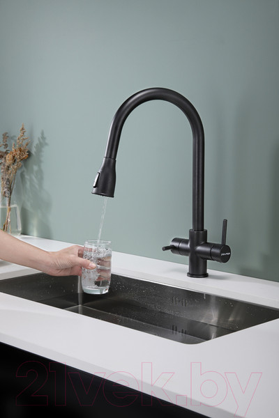 Изображение товара Смеситель Paulmark Lange La214212-418 (черный металлик)