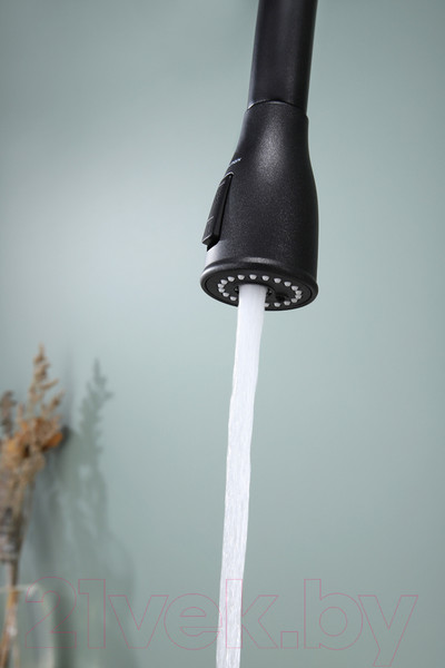 Изображение товара Смеситель Paulmark Lange La214212-418 (черный металлик)