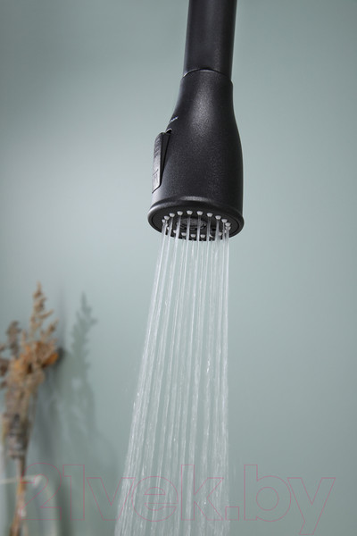 Изображение товара Смеситель Paulmark Lange La214212-418 (черный металлик)