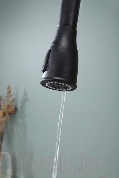 Изображение товара Смеситель Paulmark Lange La214212-418 (черный металлик)