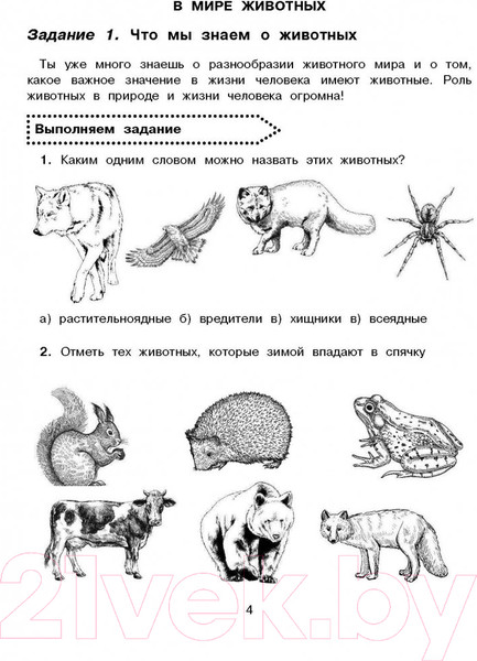 Изображение товара Учебное пособие АСТ Окружающий мир. Повторяем изученное в начальной школе. 4 класс (Зайцев А.)