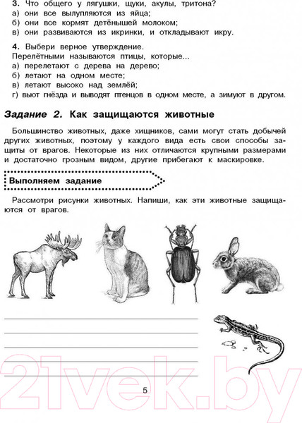 Изображение товара Учебное пособие АСТ Окружающий мир. Повторяем изученное в начальной школе. 4 класс (Зайцев А.)