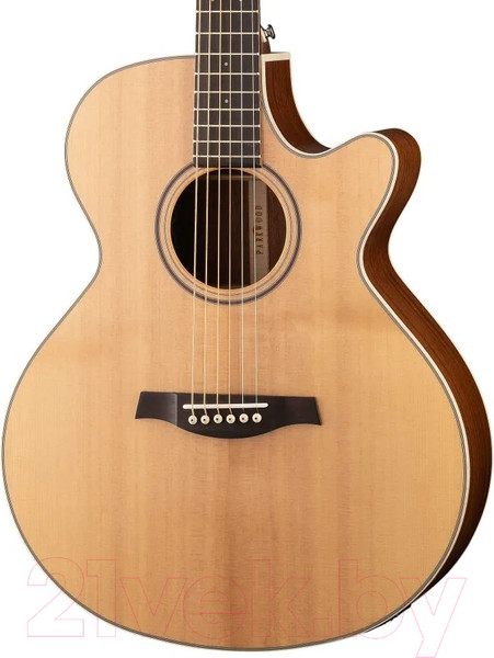 Изображение товара Электроакустическая гитара Parkwood S27-GT (с чехлом)