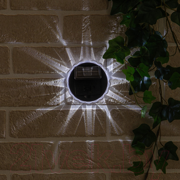 Изображение товара Светильник уличный Uniel USL-F-157/PT060 Radiate / UL-00010434