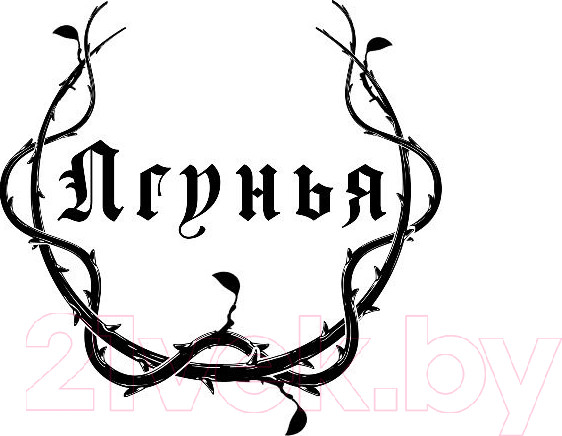 Изображение товара Книга Эксмо Темные сестры (Пашнина О.О.)