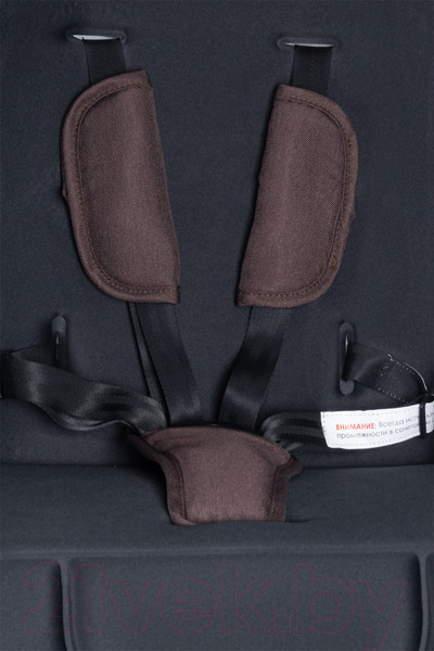 Изображение товара Детская универсальная коляска Aimile Original Autumn 2 в 1 / АА-7 (шоколадный)