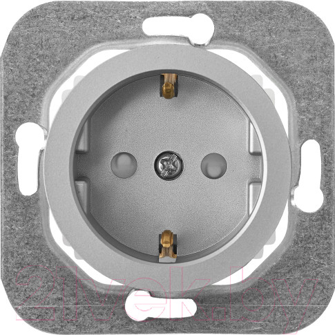 Изображение товара Розетка Bylectrica РС16-1406 (серебристый)