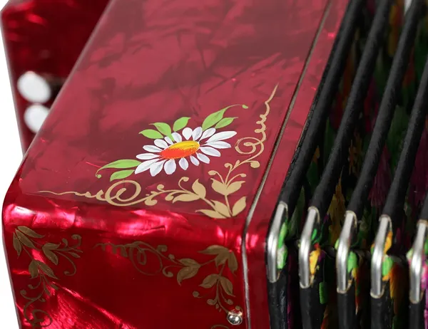 Изображение товара Гармонь Тульская гармонь Тульская-301М 25x25-III / G-21-RD (красный, с двумя ремнями)