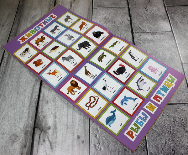 Изображение товара Набор развивающих плакатов Эксмо Умные плакаты. Для детей 4-6 лет, мягкая обложка