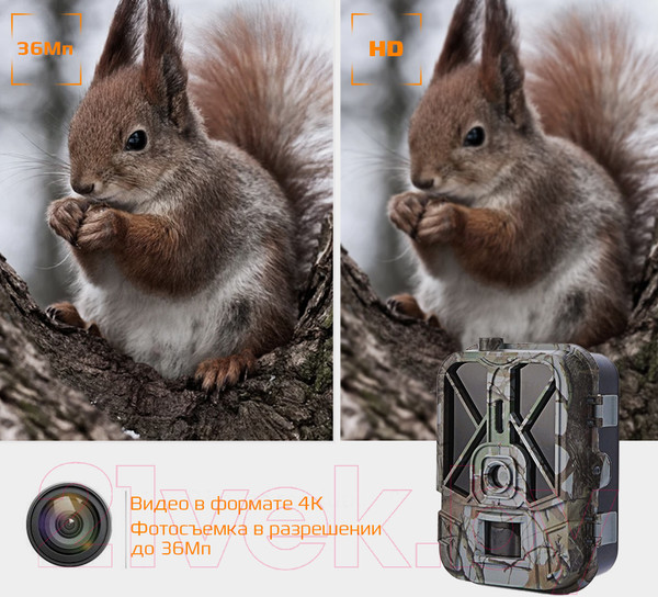 Изображение товара Фотоловушка Suntek HC-940 Pro