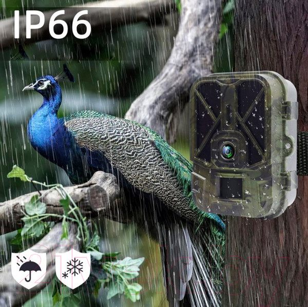 Изображение товара Фотоловушка Suntek HC-940 А