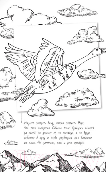 Изображение товара Книга АСТ Чудесное путешествие Нильса с дикими гусями / 9785171497750 (Лагерлеф С.)