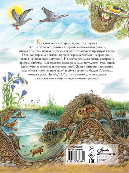 Изображение товара Энциклопедия АСТ Чудеса природы. 50 историй в картинках для детей (Царинная В.А.)
