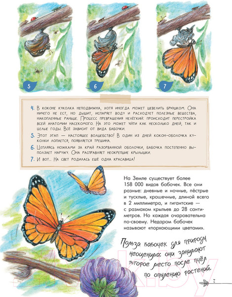 Изображение товара Энциклопедия АСТ Чудеса природы. 50 историй в картинках для детей (Царинная В.А.)