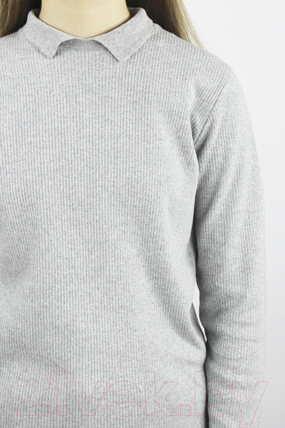 Изображение товара Джемпер детский Polesie 2С5261-Д43 (р.134,140-64, светло-серый меланж)