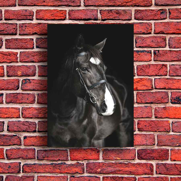 Изображение товара Картина на стекле Stamprint Лошадь AN006 (100x70)