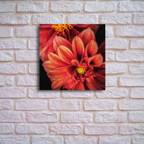 Изображение товара Картина на стекле Stamprint Астра AR013 (50x50)