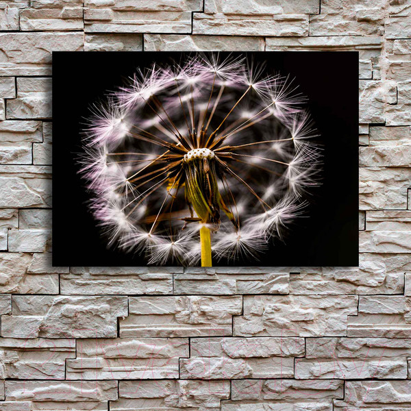 Изображение товара Картина на стекле Stamprint Одуванчик AR015 (70x100)