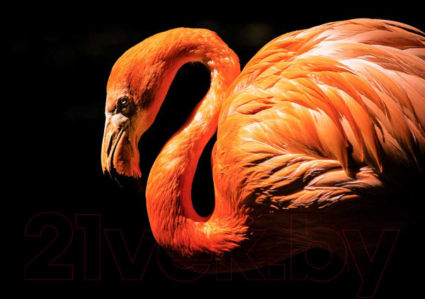Изображение товара Картина на стекле Stamprint Фламинго AN007 (70x100)