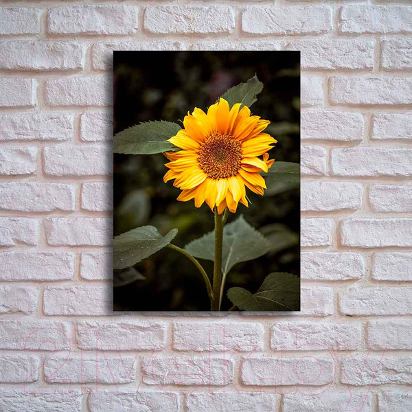 Изображение товара Картина на стекле Stamprint Цветок солнца AR016 (70x50)