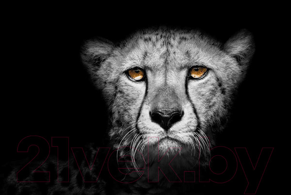 Изображение товара Картина на стекле Stamprint Гепард AN011 (80x120)