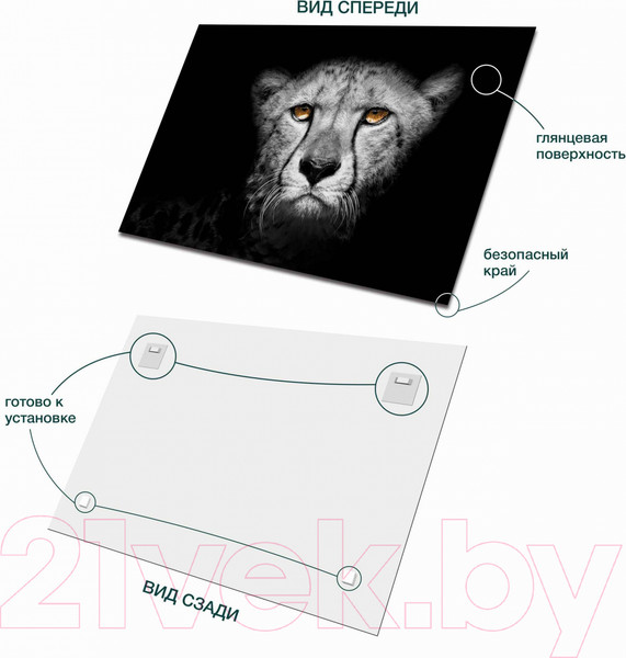 Изображение товара Картина на стекле Stamprint Гепард AN011 (80x120)