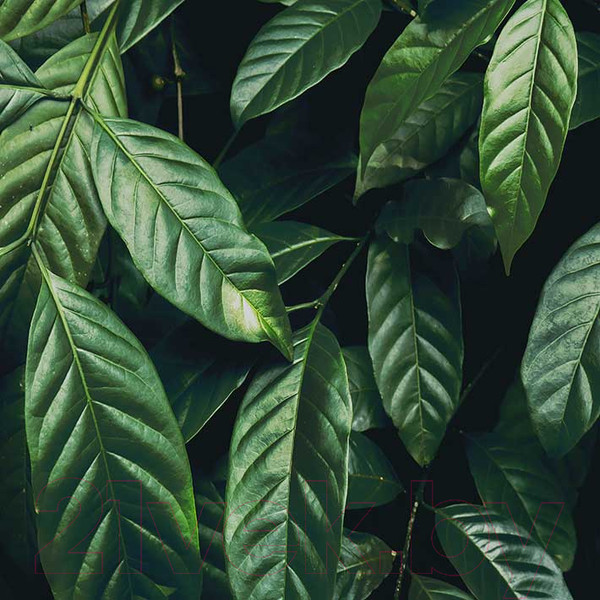 Изображение товара Картина на стекле Stamprint Виды 1 AR026 (30x30)