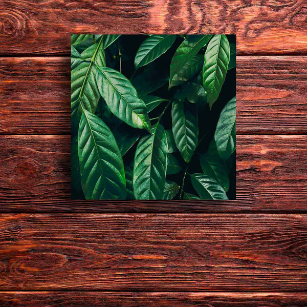 Изображение товара Картина на стекле Stamprint Виды 1 AR026 (30x30)