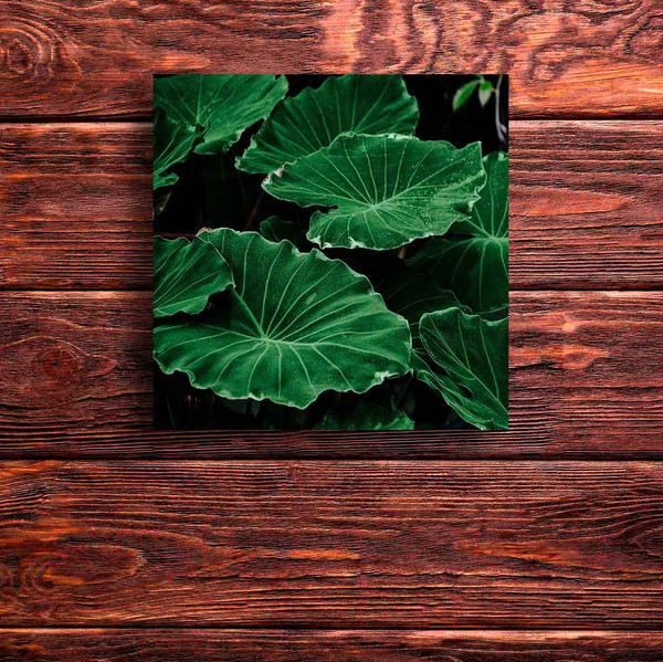 Изображение товара Картина на стекле Stamprint Виды 3 AR027 (30x30)