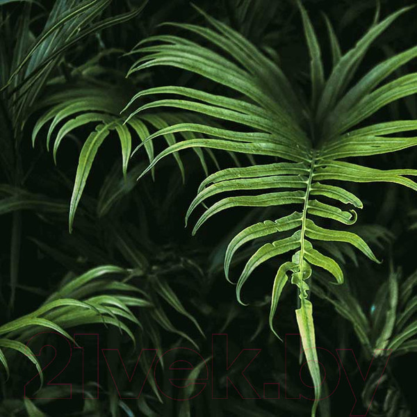 Изображение товара Картина на стекле Stamprint Виды 2 AR028 (30x30)