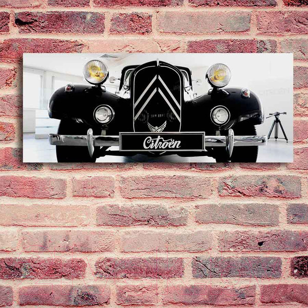 Изображение товара Картина на стекле Stamprint Ситроен VR009 (50x125)