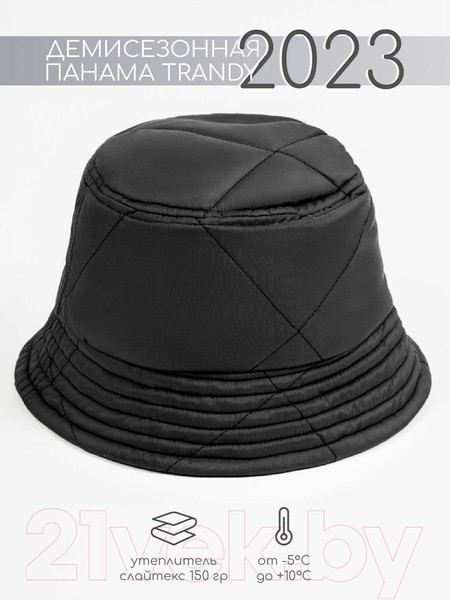 Изображение товара Панама детская Amarobaby Trendy / AB-OD22-TRENDY16/10-52 (графит, р.52-54)