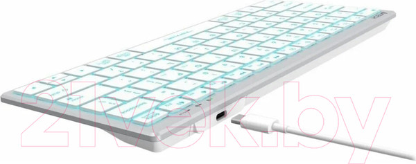 Изображение товара Клавиатура A4Tech Fstyler FX61 (белый)