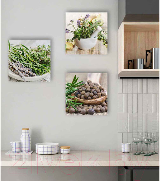 Изображение товара Картина на стекле Stamprint Специи 2 КТ043 (30x30)