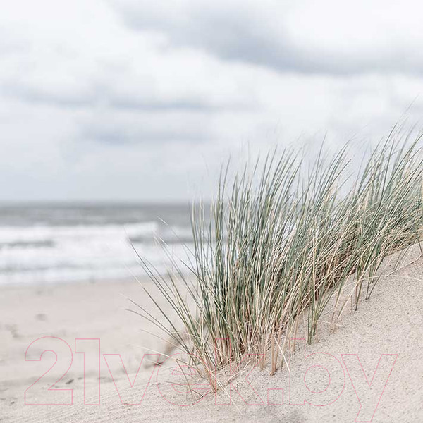 Изображение товара Картина на стекле Stamprint Берег 3 SD012 (20x20)