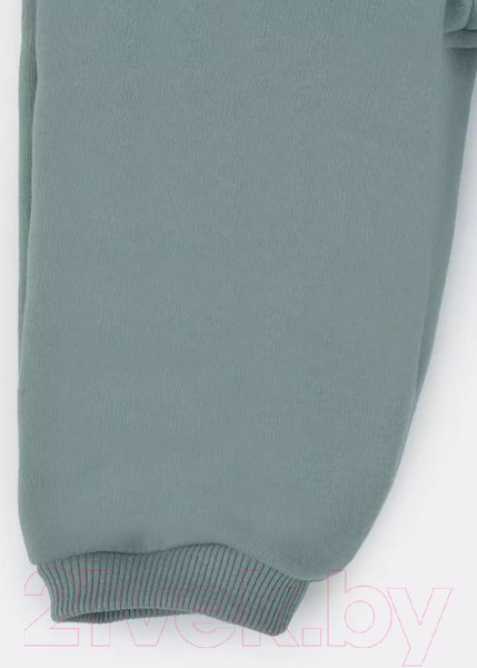 Изображение товара Комбинезон прогулочный детский Rant Rocky / 159-86 (Ocean Green, р.86)