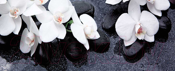 Изображение товара Картина на стекле Stamprint Белая орхидея 2 SP005 (50x125)