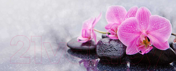 Изображение товара Картина на стекле Stamprint Орхидея с камнями SP006 (50x125)