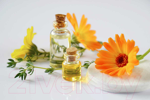 Изображение товара Картина на стекле Stamprint Жень-шень SP003 (80x120)