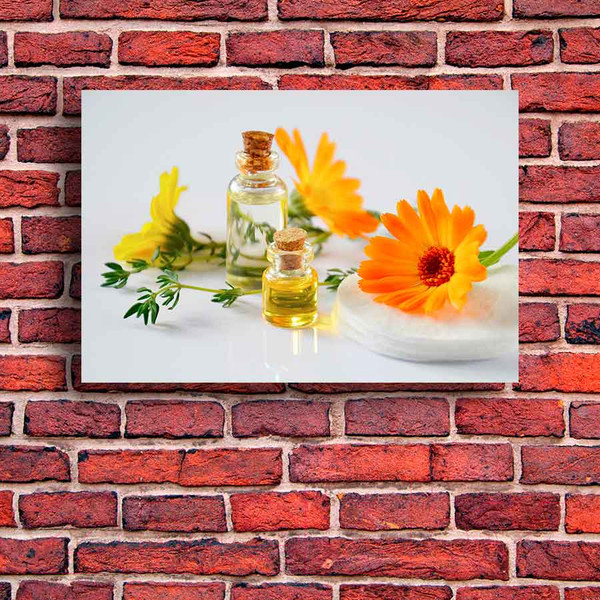 Изображение товара Картина на стекле Stamprint Жень-шень SP003 (80x120)