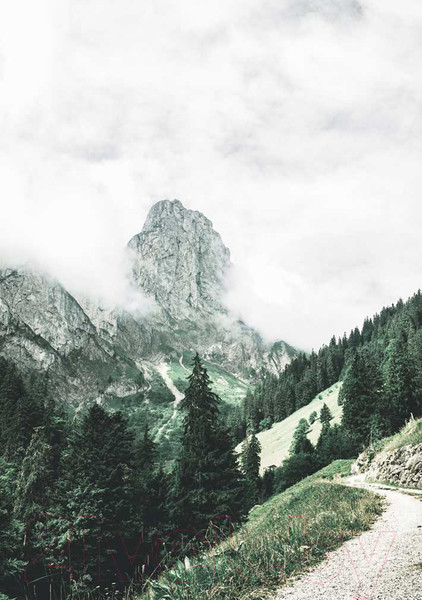 Изображение товара Картина на стекле Stamprint Лес NT010 (100x70)