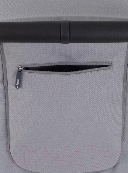 Изображение товара Детская прогулочная коляска Rant Caspia 2.0 / RA100 (Grey)