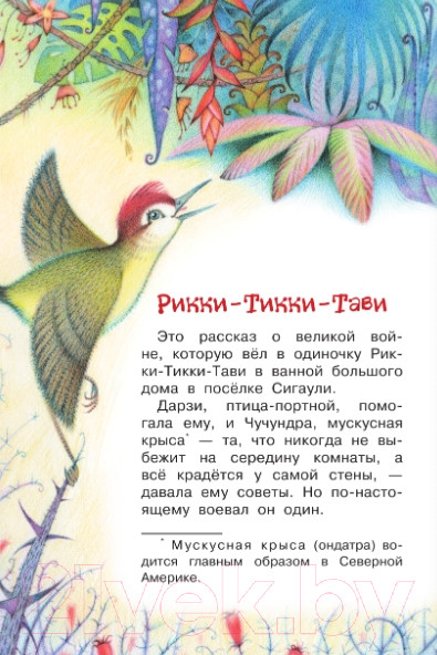 Изображение товара Книга АСТ Рикки-Тикки-Тави. Сказки / 9785171354053 (Киплинг Р.Д.)